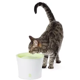 Catit Trinkbrunnen für Katzen, grün/weiß, 3L