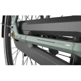 Gazelle Arroyo C8+ Elite 2025 28 Zoll RH 49 cm Damen grün