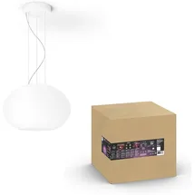 Philips Hue White and Colour Ambiance Flourish