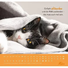 Groh Wandkalender Einfach mal abhängen 2027