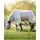 Horseware Ekzemerdecke Rambo Protector Plus 125 cm Blau/Silber