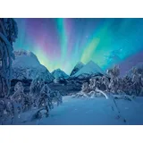 Ravensburger Erwachsenenpuzzle Power of Nature 1500 Teile - Wenn die Nordlichter tanzen