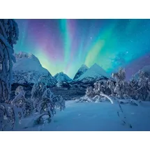 Ravensburger Erwachsenenpuzzle Power of Nature 1500 Teile - Wenn die Nordlichter tanzen