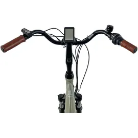 Llobe City E-Bike 28 Zoll RH 125 cm grün