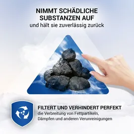 Vioks Aktivkohlefilter Set 2x 300x198mm für Dunstabzugshaube
