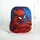 SpiderMan 3D Rucksack für echte Fans | Blau