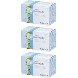 Sidroga® Infusion fitness printemps