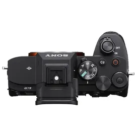 Sony Alpha 7 IV+ Sigma 28-105mm 