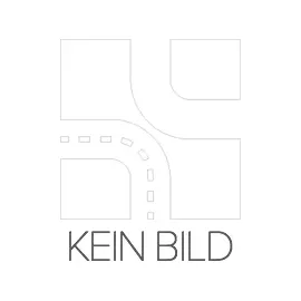 Shell Rimula R6 MS 550036000 10W-40 20 l