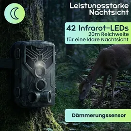 casativo-tech 4K-UHD-Wildkamera Bunt