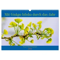 Calvendo Mit Ginkgo biloba durch das Jahr (Wandkalender 2026