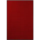 Karat Schmutzfangmatte SKY Novo Einzigartiger TPE-Rücken Rot 40 x 60 cm