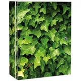 Banjado XXL Medizinschrank Abschliessbar 35x46x15cm Arzneischrank Weiß Aus Metall Mit Motiv Efeu