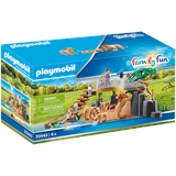 Playmobil Family Fun Löwen im Freigehege 70343