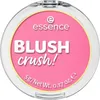 BLUSH crush! 50 Pink Pop