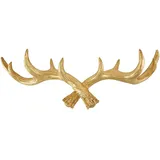 Hansmeier® Geweih Wandgarderobe Kleiderhaken Garderobenhaken | Gold | Für Außen, Innen, Balkon & Garten | 49 cm | Deko Hirschgeweih | Mehrzweckhaken und Wanddeko | Hohe Tragkraft