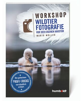 Buch Workshop Wildtierfotografie vor der eigenen Haustür