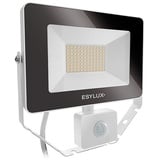 ESYLUX AFLBASICLED30W 3K WH EL10810848 LED-Außenstrahler 30W Weiß