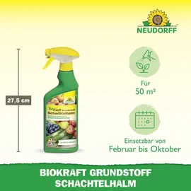 NEUDORFF BioKraft Grundstoff Schachtelhalm AF Spray 500 ml