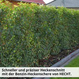 Hecht Heckenschere Benzin 9245