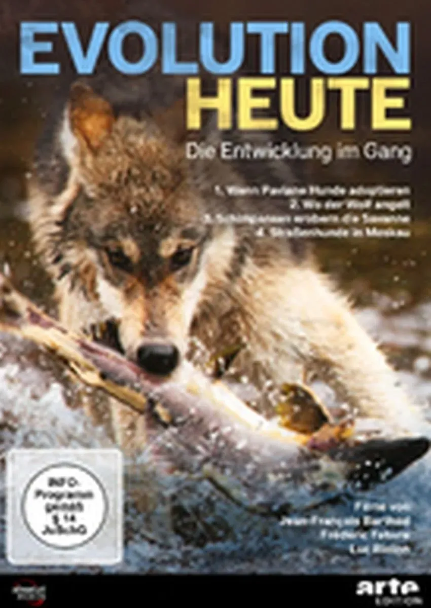 Evolution heute: Die Entwicklung im Gang (Neu differenzbesteuert)