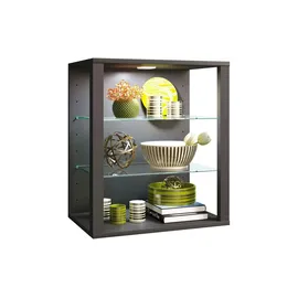 VCM Vitrine Sammelvitrine Glasol SW
