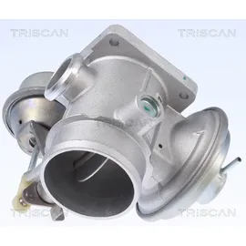 TRISCAN AGR-Ventil 8813 10034