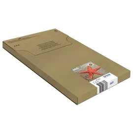 Epson 603 CMYK C13T03U64510