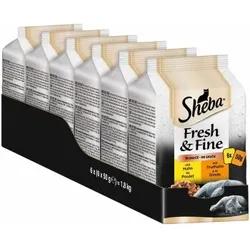 Sheba Multipack Fresh & Fine in Sauce 36x50g Huhn & Truthahn