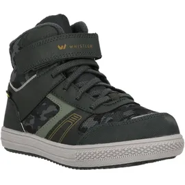 Whistler Casou Scarab