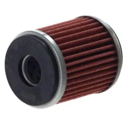 CHAMPION Ölfilter COF040 Motorölfilter,Filter für Öl