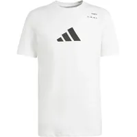 Adidas Herren AEROREADY Tennis Category Graphic Tee T-Shirt, White, L