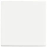 Busch-Jaeger Dimmer 6735 BT-884