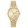 DKNY Urban Gold Edelstahl 32 mm DK1L085M0055