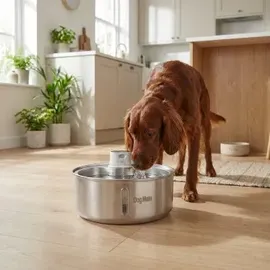 Dog Mate Ersatzfilter für 8L Edelstahlbrunnen – 6er-Pack