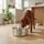 Dog Mate Ersatzfilter für 8L Edelstahlbrunnen – 6er-Pack
