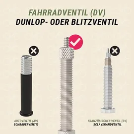 Prophete Schlauch 28 Zoll Dunlopventil