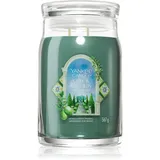 Yankee Candle Olive & Cypress Duftkerze 567 g
