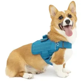 Kurgo RSG Townie Hundegeschirr blau XL