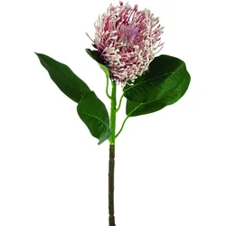Kunstblume PROTEA - bunt