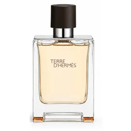 Hermès Terre d'Hermès Eau de Toilette 100 ml