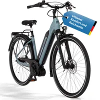 Fischer CITA 2404 28 Zoll RH 43 cm Unisex graublau