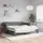 vidaXL Tagesbett 100 x 200 cm Dunkelgrau
