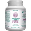 Pylopass FORTE 200 mg+Vit.B12+Olivenblattextr.Kps.