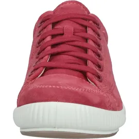 Legero Tanaro 5.0 Dark Raspberry 37,5