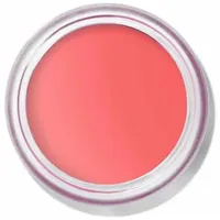 Bobbi Brown Pot Rouge Velvet Matte 8,50 g