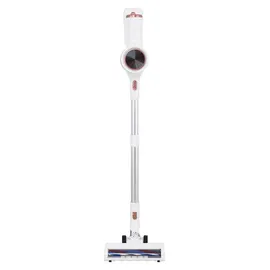 Adler AD7079 kabelloser Staubsauger