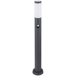 Gartenlampe mit Bewegungsmelder anthrazit Smart LED Gartenstehlampe Edelstahl Wegeleuchte Garten, RGB Farbwechsel dimmbar, App, 1x 10W, H 80 cm