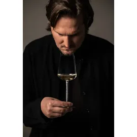 Schott Zwiesel Journey Weißweinglas 0,446 l 2 St.