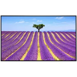 Papermoon Infrarotheizung Lavendel in der Provence 600 W Weiß